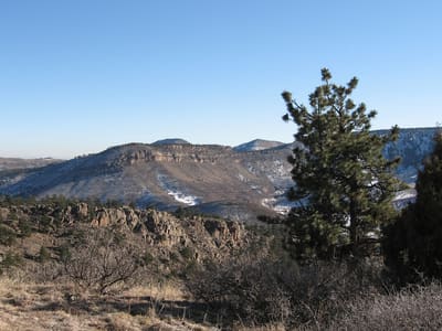 Ponderosa pines above a rocky slope at Hall Ranch, looking across to the hogback and the plains