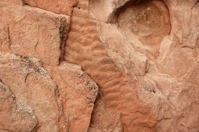 Fossil ripple marks in a slab of pink Lyons Sandstone